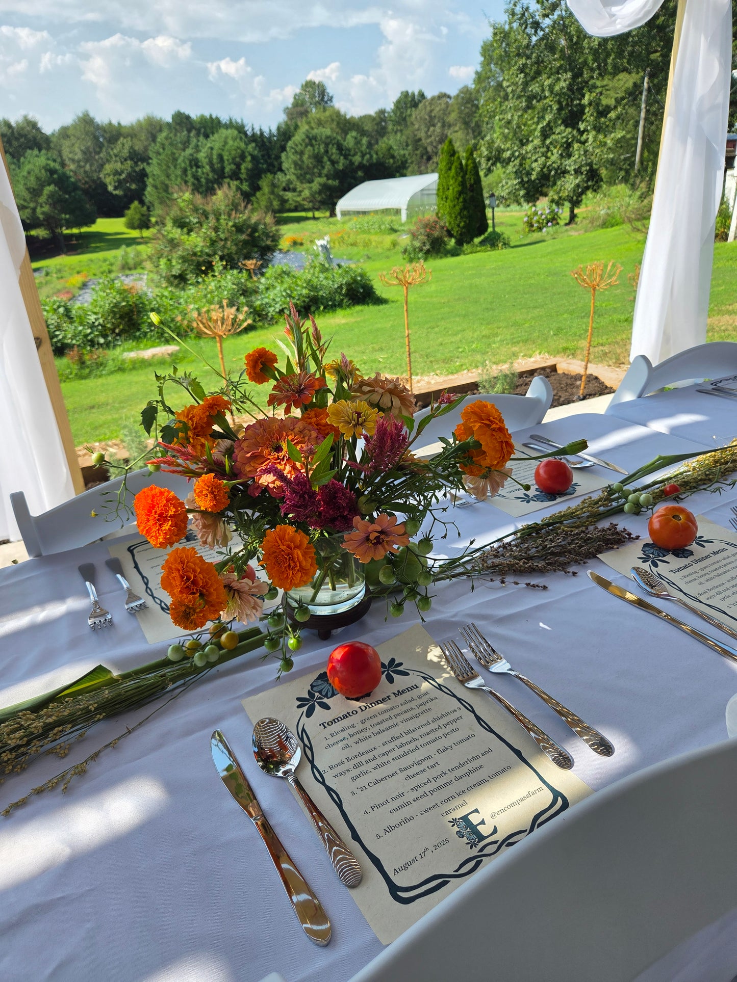 Tomato Dinner: August 17, 2025