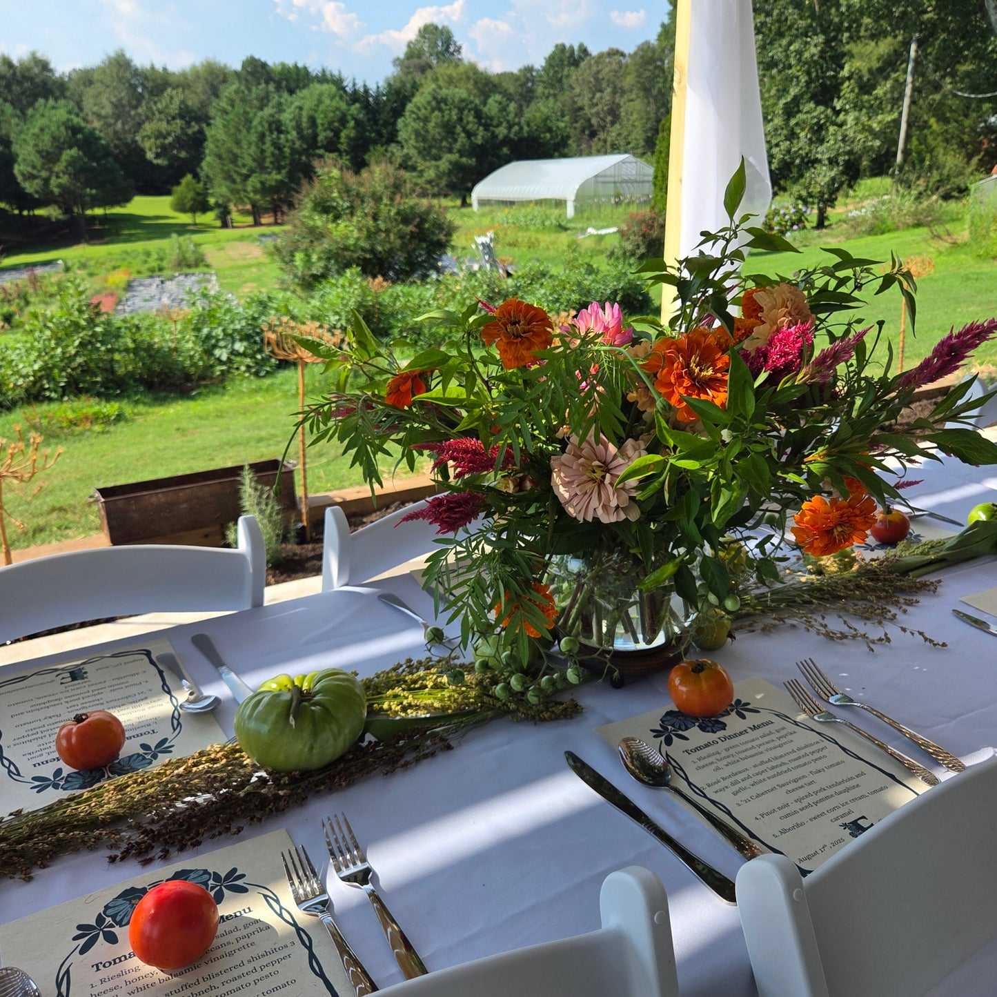 Tomato Dinner: August 17, 2025