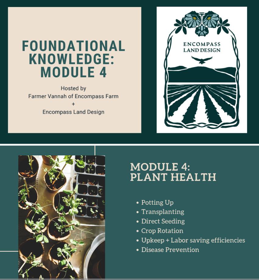 Foundations Masterclass