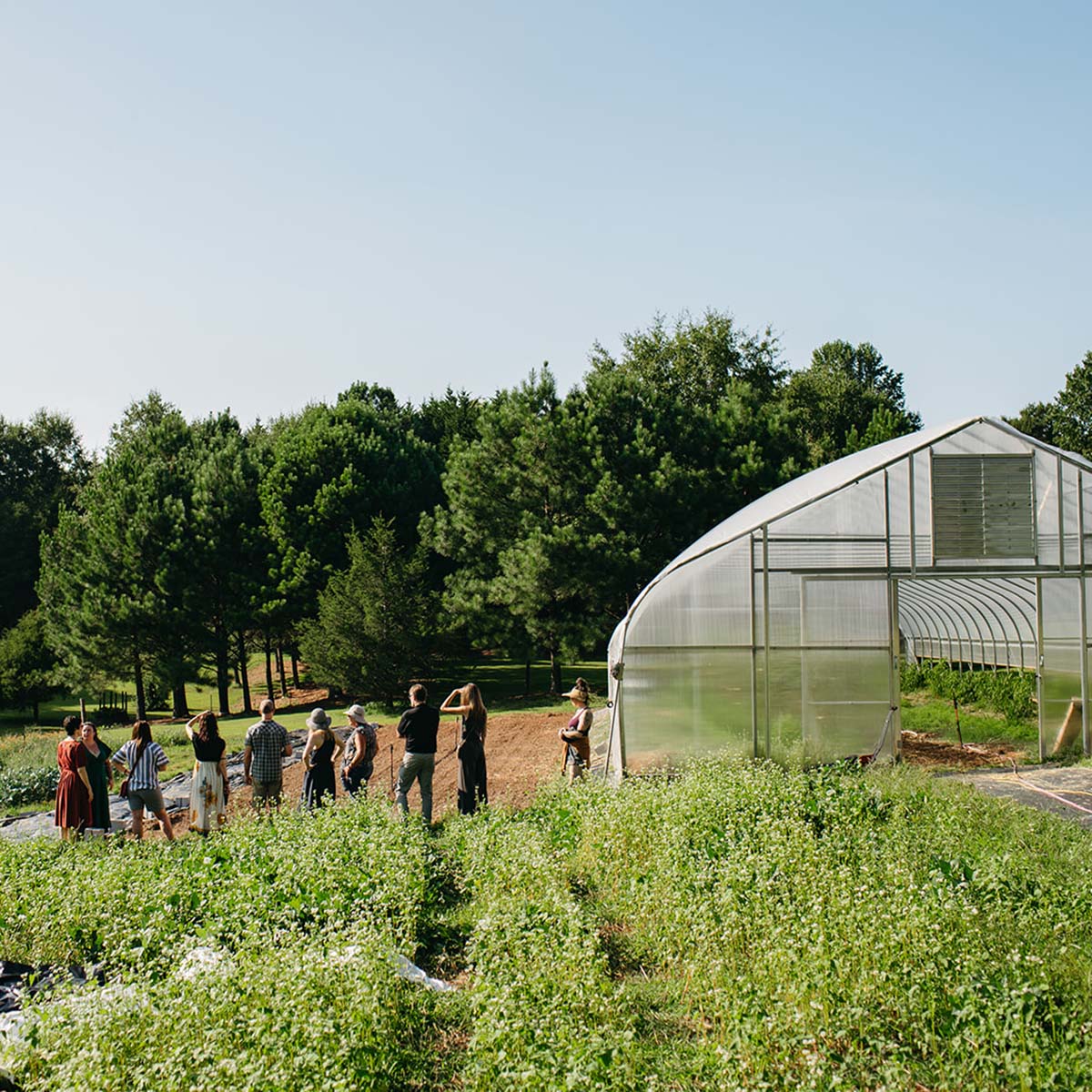 Group of people standing in a garden with a greenhouse in the background