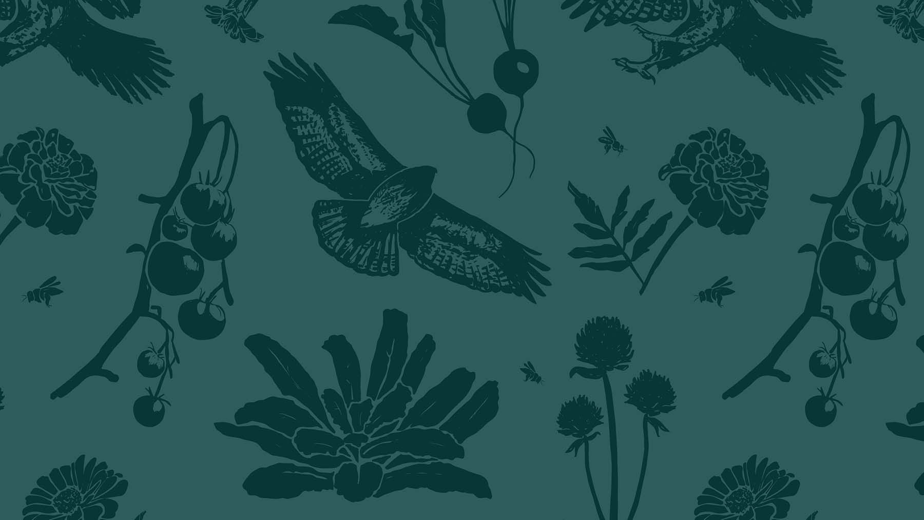 Pattern of birds, flowers, and branches on a teal background