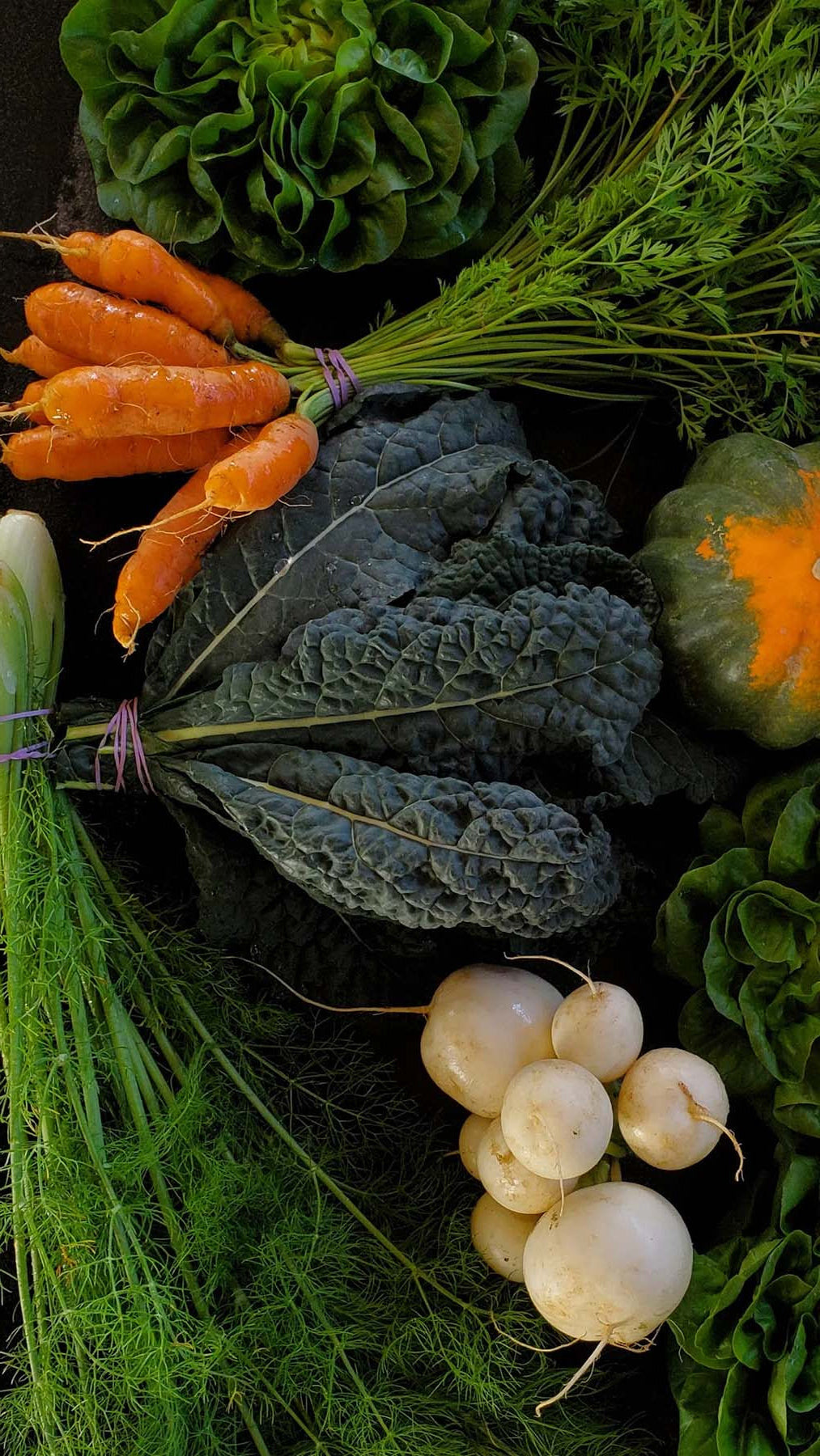 Assorted fresh vegetables including carrots, kale, and radishes on a dark background