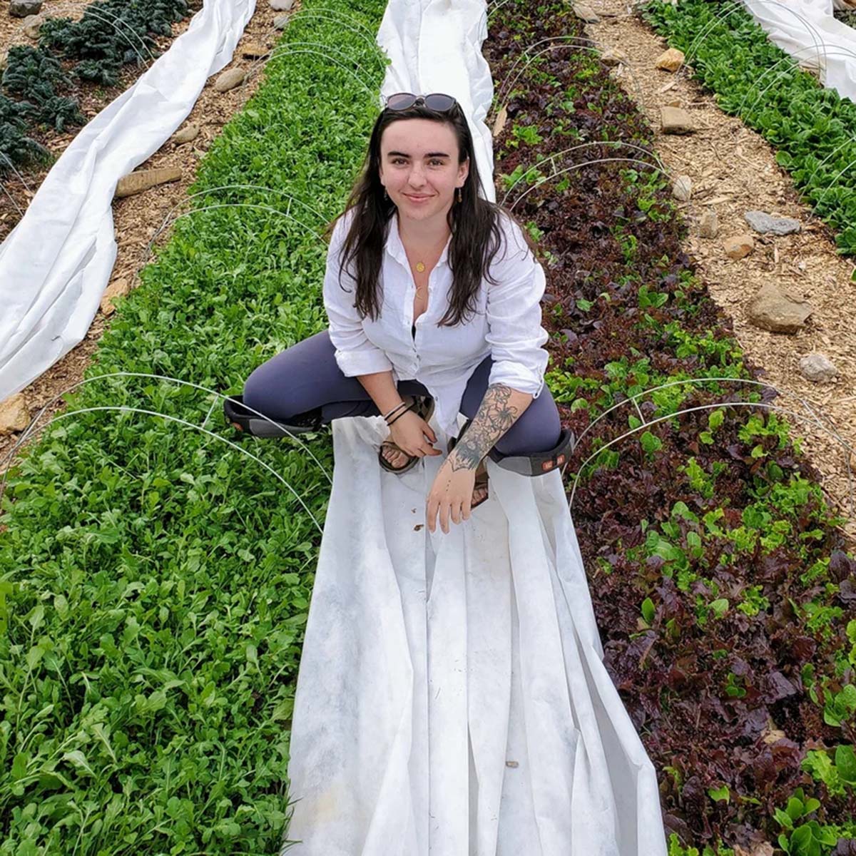 Woman sitting among rows of leafy green plants in a garden