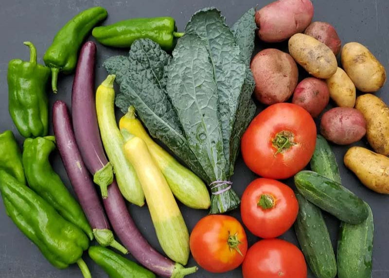 Assorted fresh vegetables including tomatoes, potatoes, cucumbers, and leafy greens on a dark surface.