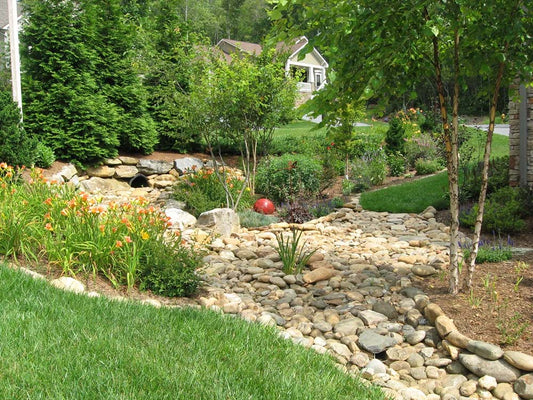 The Parmar's Backyard Paradise