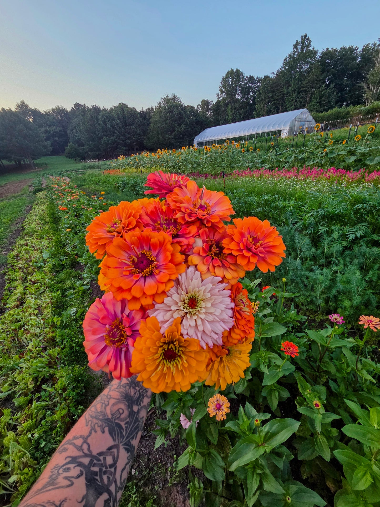 The Flower Dinner: Saturday July 11th '26