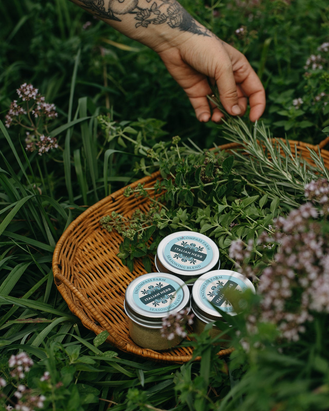 Italian Herb Seasoning Blend