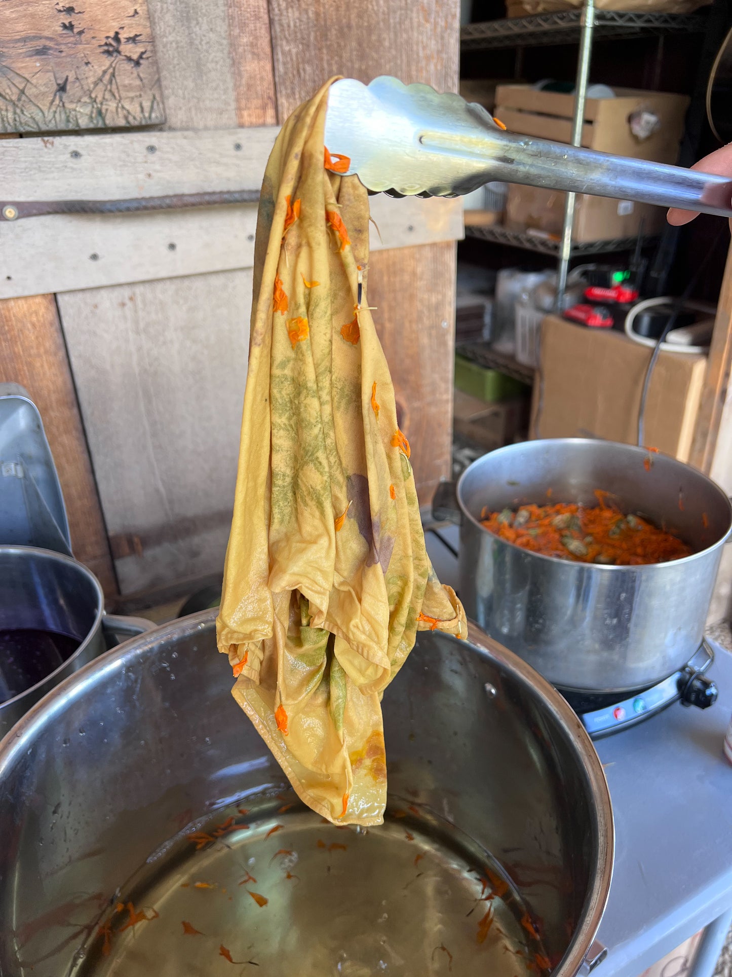 BLOOMS & BANDANAS: Naturally Dye Plant Fibers Saturday July 25th, '26