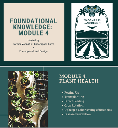 Foundations Masterclass