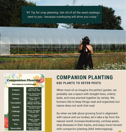 Foundations Masterclass