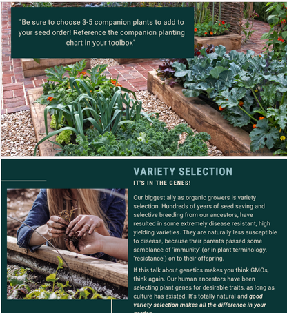 Foundations Masterclass