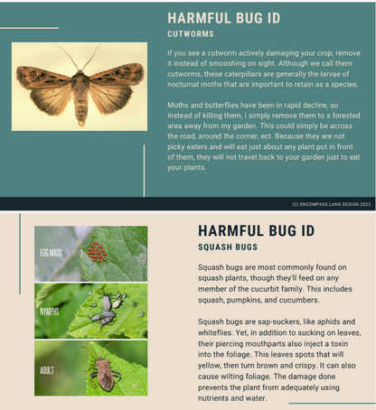 Foundations Masterclass