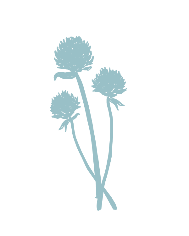 Silhouette of three stylized flowers in light blue on a transparent background