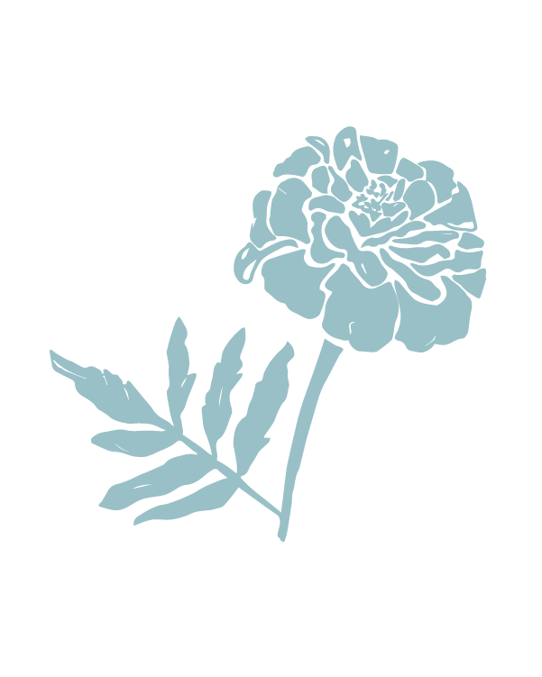 Blue floral design on a transparent background