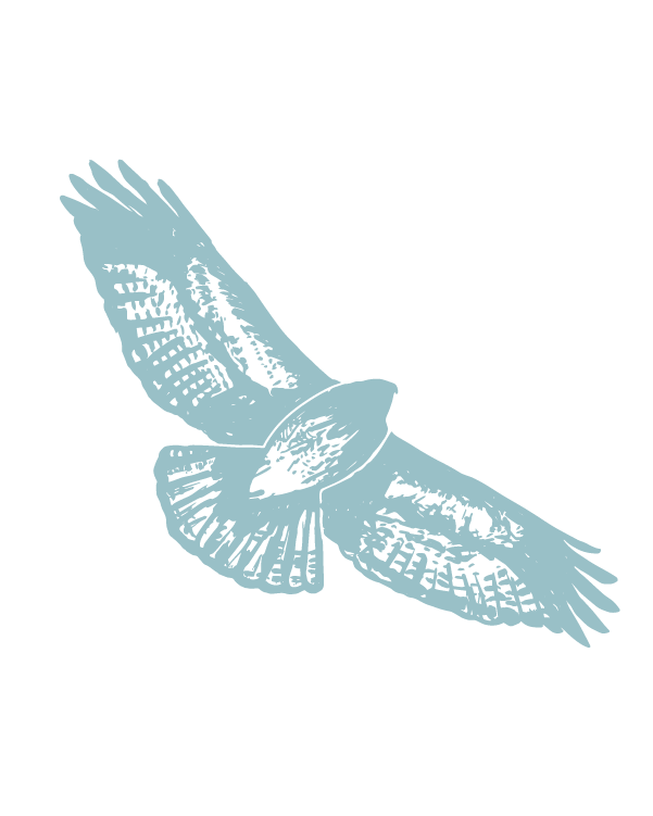 Light blue silhouette of a bird in flight on a transparent background