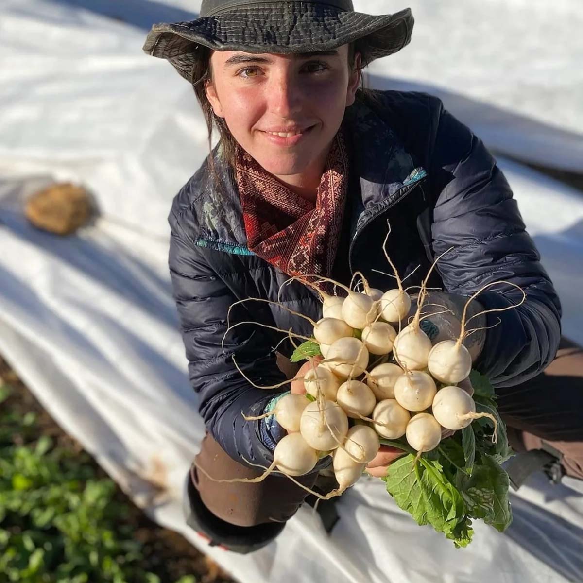 Person holding a bundle of white turnips in a garden setting