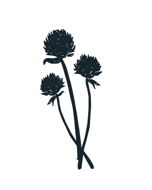 Garden Mapping Guide